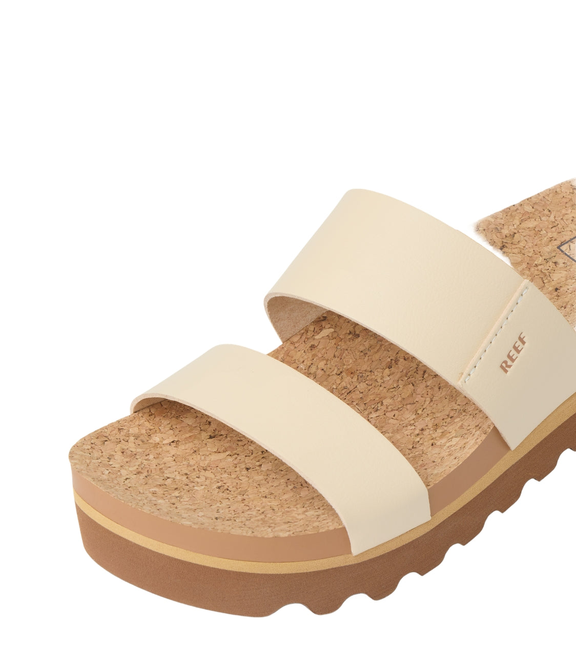 REEF Cshn Vista Hi Slides