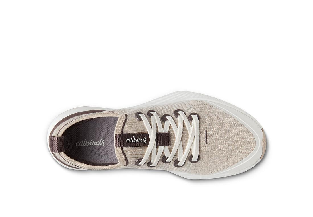 ALLBIRDS Mens Tree Glider Shoes