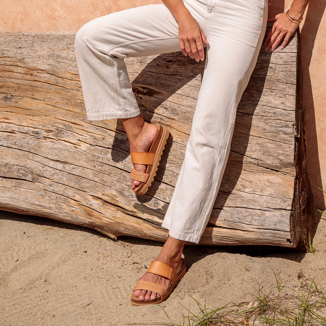 REEF Cshn Vista Hi Slides