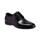 ROCKPORT Billy Oxfords/Lace Up