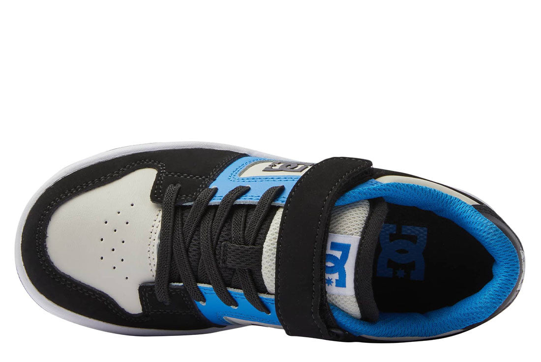 DC Manteca 4 V Shoes