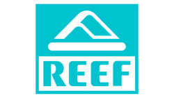 Reef Men's Size Chart